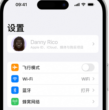 洛南appleID维修服务iPhone设置中Apple ID显示为灰色无法使用 