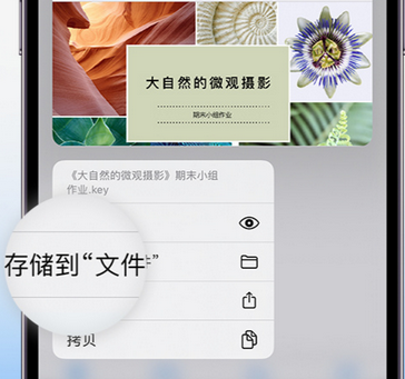 洛南apple维修中心分享iPhone文件应用中存储和找到下载文件