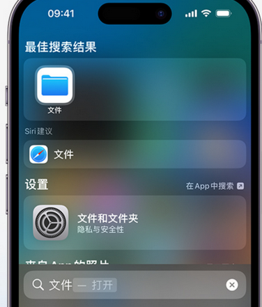 洛南apple维修中心分享iPhone文件应用中存储和找到下载文件 