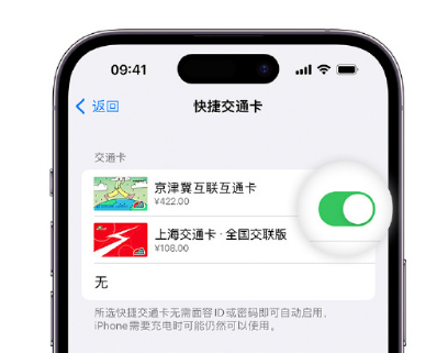 洛南apple维修点分享iPhone上更换Apple Pay快捷交通卡手绘卡面 