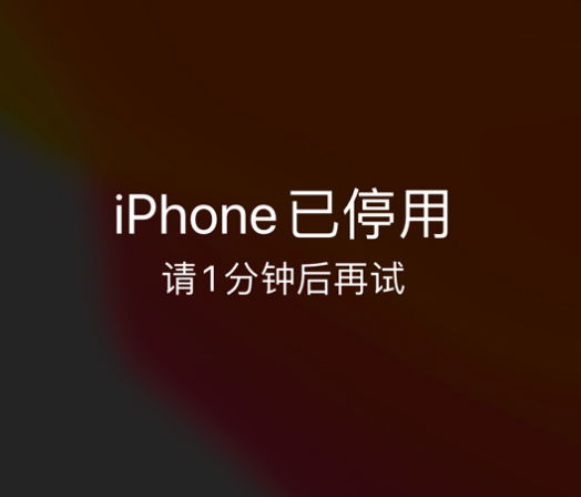 洛南苹果手机维修分享:iPhone 显示“不可用”或“已停用”怎么办？还能保留数据吗？ 