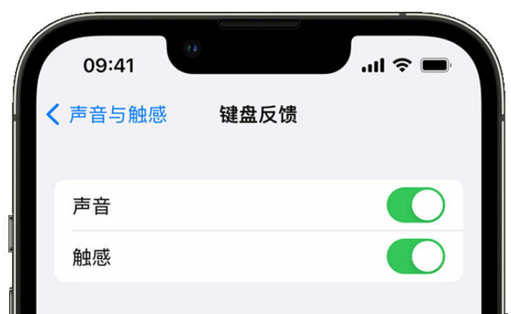 洛南苹果手机维修分享iPhone 14触感键盘使用方法 