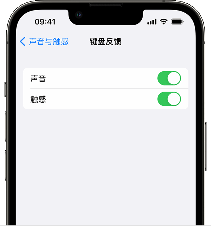 洛南苹果14维修店分享如何在 iPhone 14 机型中使用触感键盘 