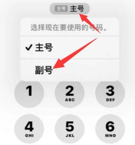 洛南苹果14维修店分享iPhone 14 Pro Max使用副卡打电话的方法 