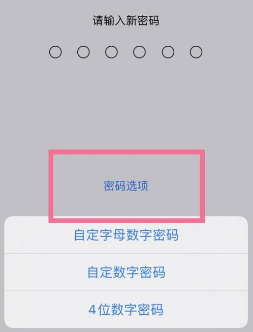 洛南苹果14维修分享iPhone 14plus设置密码的方法 