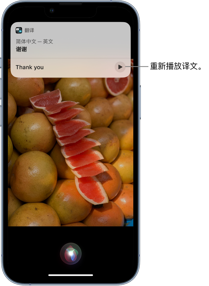 洛南苹果14维修分享 iPhone 14 机型中使用 Siri：了解 Siri 能帮你做什么 