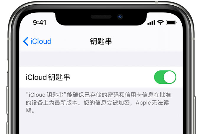 洛南苹果手机维修分享在 iPhone 上开启 iCloud 钥匙串之后会储存哪些信息 