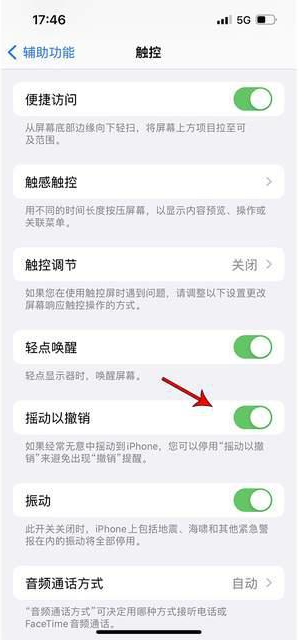 洛南苹果手机维修分享iPhone手机如何设置摇一摇删除文字 